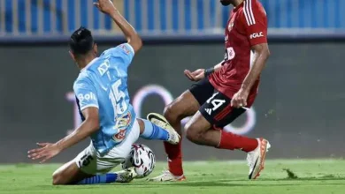 محمد الشيبي